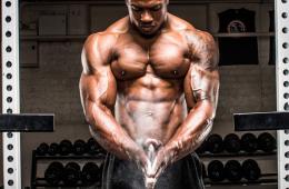 Программы тренировок для набора мышечной массы у мужчин — какая самая результативная?