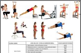 Программа тренировок для набора мышечной массы Программа тренировок для набора мышечной массы 3 раза в неделю