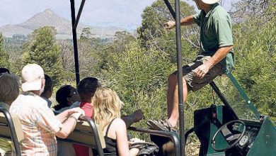 Photo of Как правильно выбирать туры: главный гид